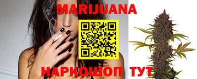 индика Славгород