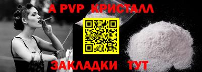 индика Славгород